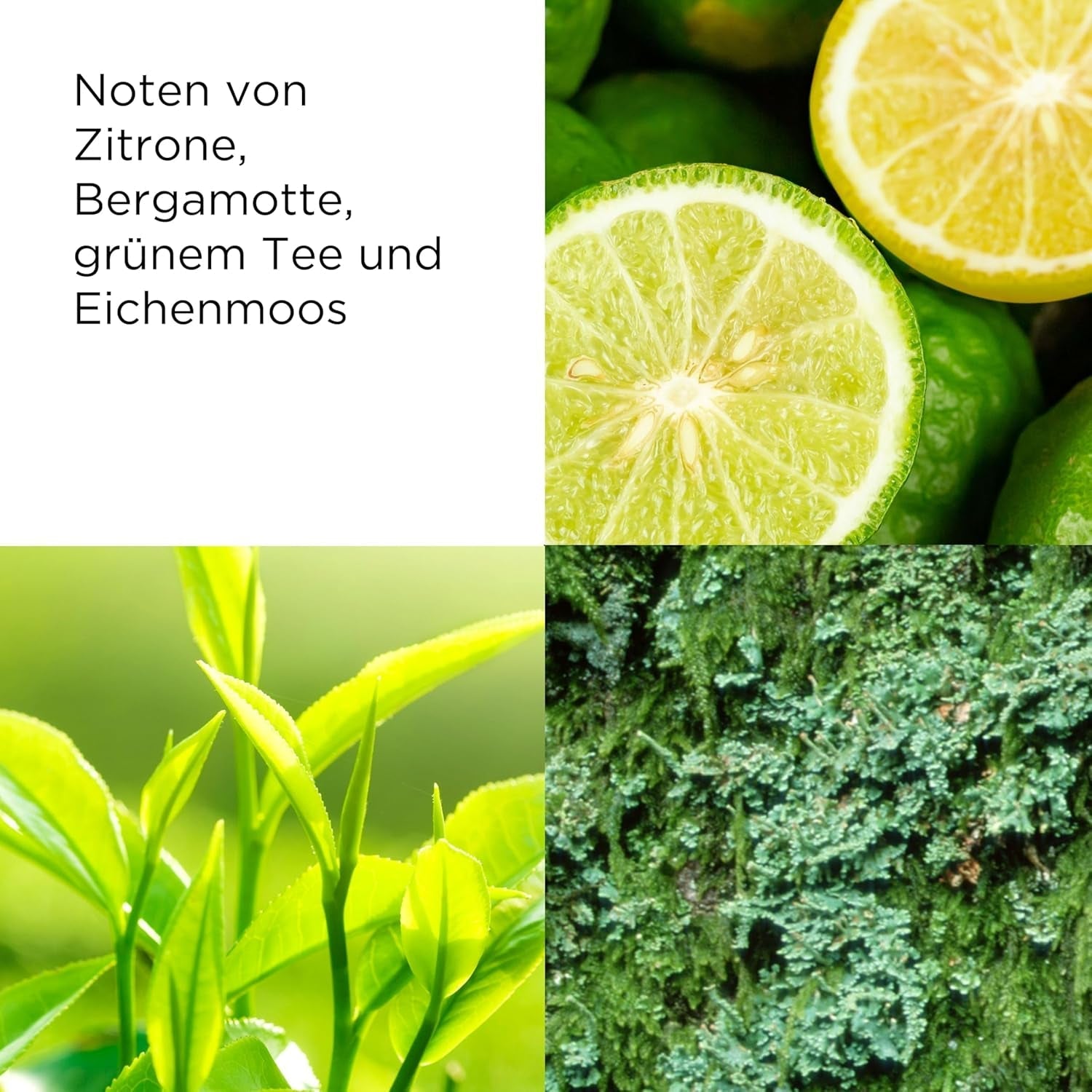 Elizabeth Arden - Ceai verde, Apă de parfum, Parfum cu esențe naturale precum ceai verde și bergamotă, Aromă răcoritoare, florală și citrică, Trezește simțurile, Revigorează - 100 ml