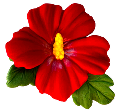 Jadalna dekoracja kwiat hibiskusa – ozdoba na tort 9,5 cm