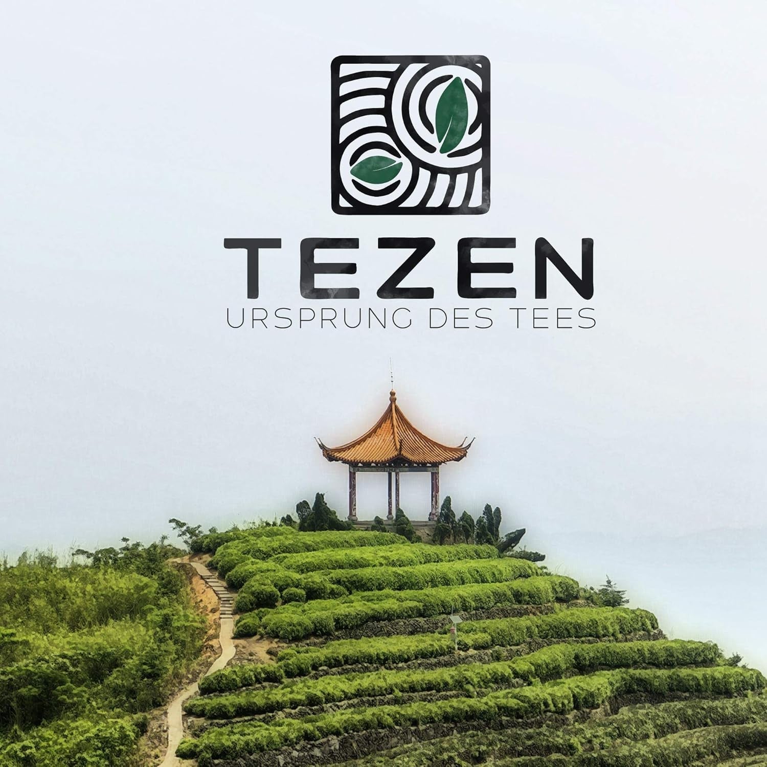 Ceai Oolong Tie Guan Yin din Anxi, China | Recolta 2025 | Ceai Oolong chinezesc de înaltă calitate | Ceai chinezesc premium din plantații tradiționale 100 g