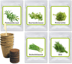 Magia natury Pudełko Küchenkräuter Omy - Anzuchtset - 5 Sorten frische Kräuter Samen - Zum Selberzüchten oder zum Verschenken