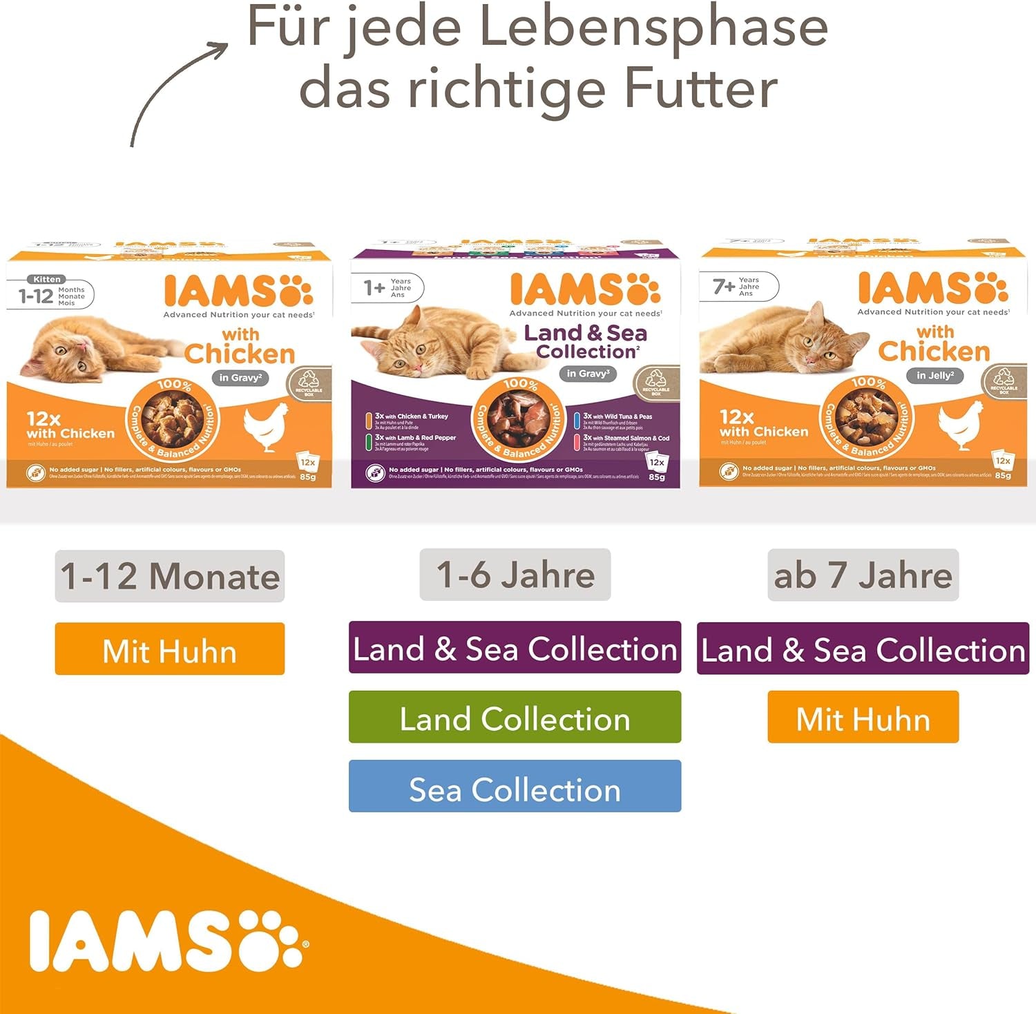 IAMS Delights Senior Cat Food Wet - Multipack cu pui și pește în sos, hrană umedă de înaltă calitate pentru pisici bătrâne de la 7 ani, 12 X 85 G