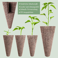 125 gąbek do uprawy, 50 wymiennych gąbek do uprawy, akcesoria do systemu startowego hydroponicznego z 50 etykietami, 12 nasadek izolacyjnych, 12 koszy na rośliny, 1 pęseta