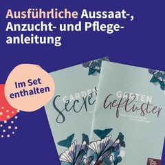 Nasiona Magic Garden - Środkowoeuropejski zestaw nasion roślin leczniczych - 12 tradycyjnych odmian popularnych roślin leczniczych - Odmiany scheda - Akcesoria ogrodowe - Nasiona roślin - Prezent dla miłośników ogrodu