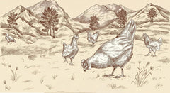 Makaron wstążkowy BioGourmet z Schüttelbrot z Południowego Tyrolu (ChOG) | Solony i aromatyzowany makaron jajeczny z prawdziwą drobinką z Południowego Tyrolu | 1 x 250 g Bio