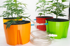 Hydro Farmer, set de ghivece cu 19 piese Ø 18 cm (roșu), sistem de creștere care include 4 ghivece, 4 inele de udare, 4 capace, set adaptor și furtun de 2 m, hidroponică, aeroponică