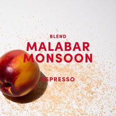 Malabar Monsoon Espresso Blend - 100 % Arabica aus Indien, Brasilien & Guatemala - säurearm & ausgewogen mit Nektarine, Honig & Haselnuss - ganze Bohnen, medium dark roast - 1kg