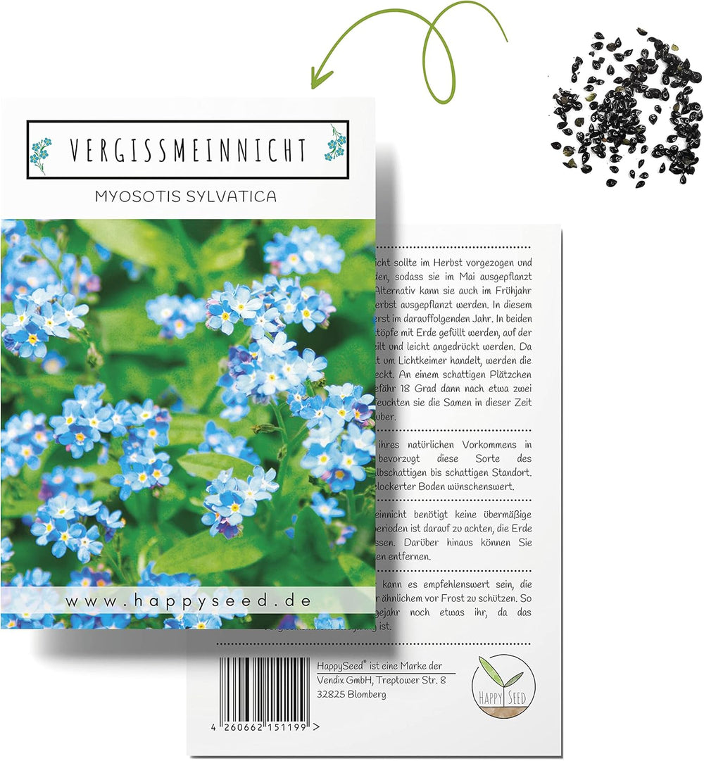 Vergissmeinnicht Samen (Myosotis) - Märchenhafte Blumen mit langer Blütezeit für das Beet, den Balkon und die Terrasse