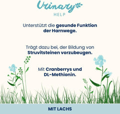 almo nature Functional Urinary Help - Hrană umedă pentru pisici adulte cu somon - Susține sănătatea tractului urinar - 30 de pliculețe a câte 70 g fiecare