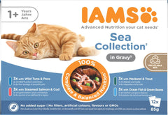 IAMS Delights Sea Collection Katzenfutter Nass - Multipack mit Fisch Sorten (Lachs, Thunfisch, Makrele, Seefisch) in Sauce, Nassfutter für Katzen ab 1 Jahr, 12 x 85g