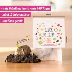 10x „Glück to Grow” Semenbomben als Glückbringer 2026 i Blumensamen Geschenk | Mitbringsel Erwachsene & kleine Gastgeschenke Silvester - Kleeblatt Glückbringer Prüfung - inkl. Zestaw kart podarunkowych