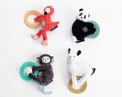 Deglingos - Jucării de dentiție (36126)