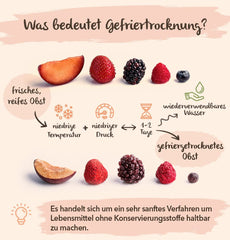 Fructe liofilizate BRIX | Amestec natural, uscat, de fructe tropicale 80 g | Premiul Great Taste pentru fructe uscate | Fără OMG, fără gluten, vegan, vitaminele sunt păstrate Produse deshidratate Naty Shop