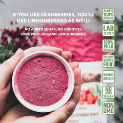 LOOV pulbere organică de afine, fabricată din afine sălbatice 100% întregi, liofilizate, recoltate în pădurile din nordul Europei, 113 g, fără zahăr adăugat Produse deshidratate Naty Shop