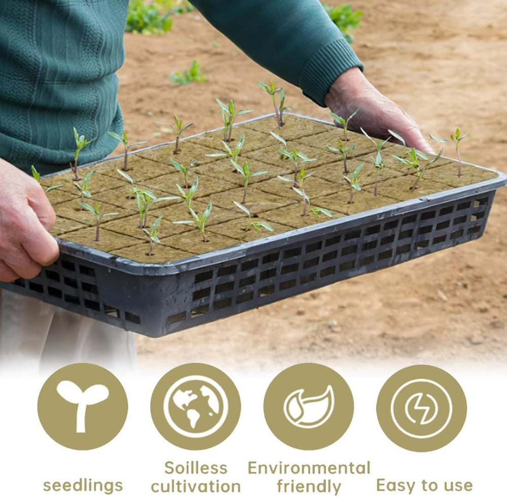 Kostki do sadzonek wełny mineralnej 28 - Kostki do sadzonek wełny mineralnej 4x4x4cm - Kostki do sadzonek, kostki wełny mineralnej, systemy sadzonek hydroponicznych/rośliny klonowane/projekty szkolne, uprawa sadzonek bez gleby