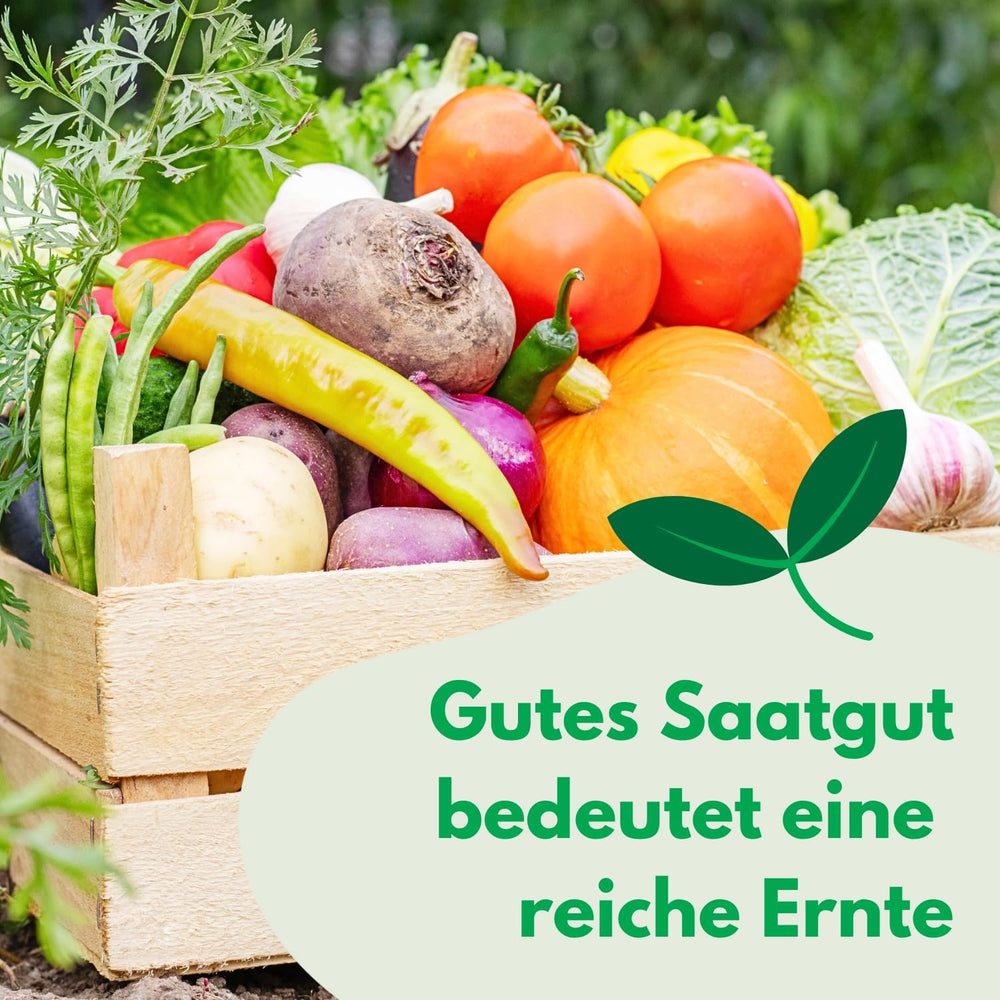 Cosmos Sensation Mix 1g nasion, Cosmos Mix Kwiaty letnie, Rośliny ogrodowe Rośliny balkonowe, Nasiona kwiatów