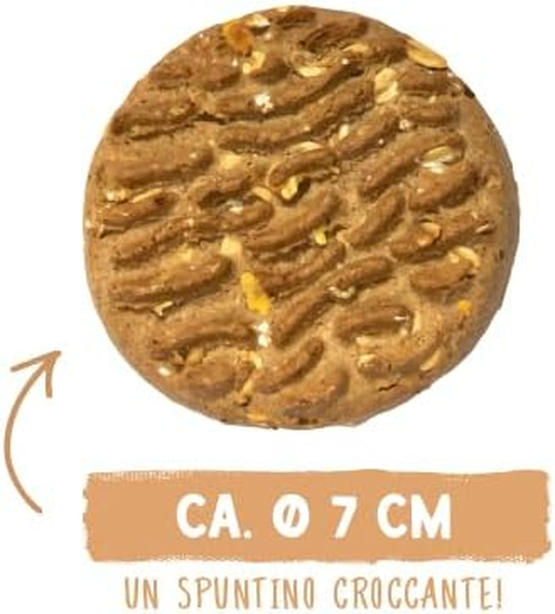 Monety musli Sammy'ego | Chrupiące pieczone przekąski dla psów | 5 monet zbożowych musli dla Twojego dużego futrzanego przyjaciela (30kg+) | 1 kg