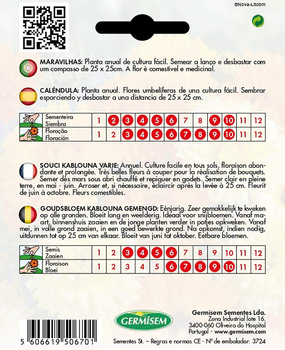 Nagietki wielobarwne, EC1507