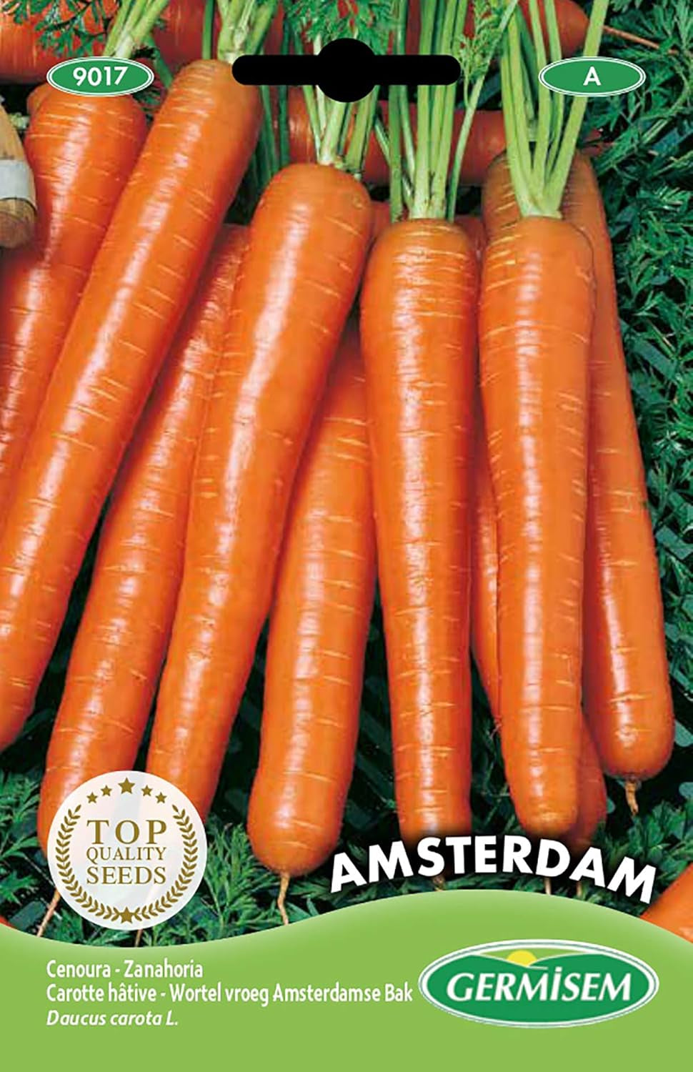 Möhren Amsterdam