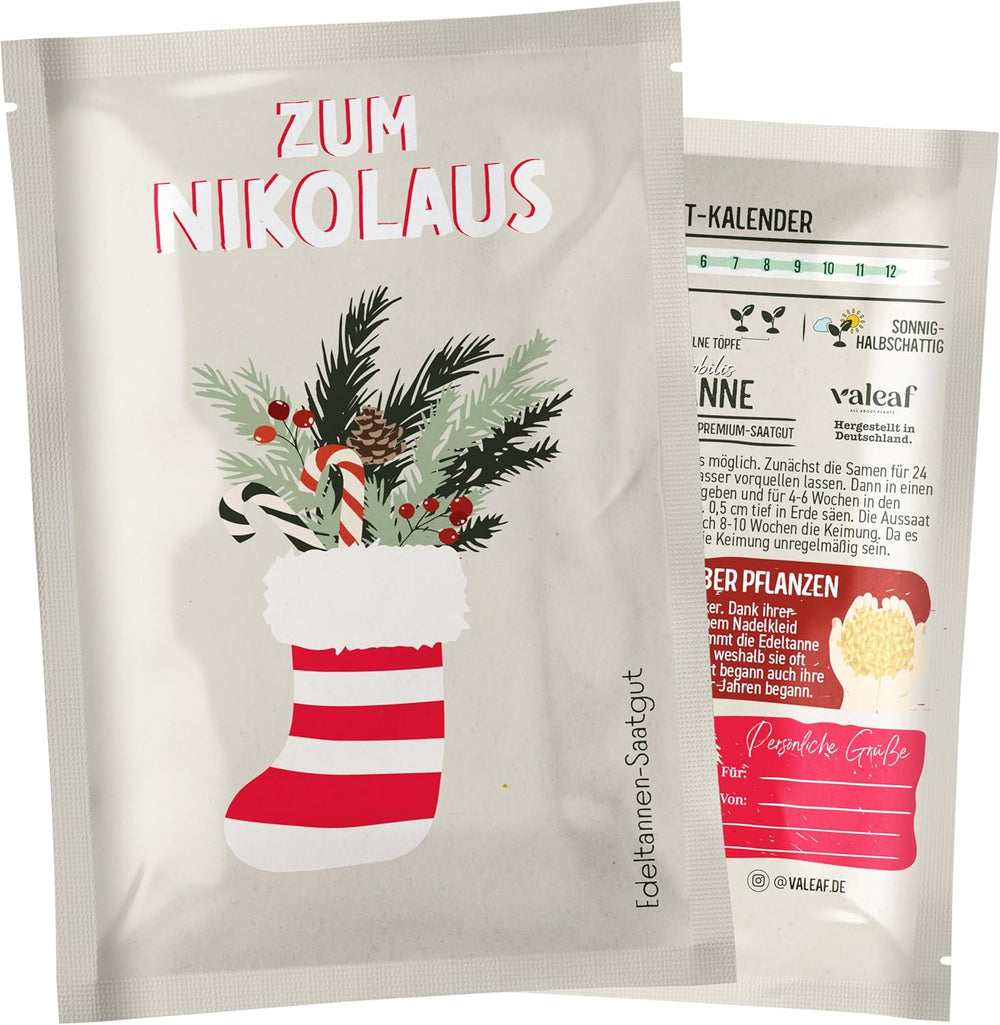 Choinka 2030 - Nasiona choinek firmy Nordmann do sadzenia choinki, idealne jako tajemniczy prezent bożonarodzeniowy od Świętego Mikołaja