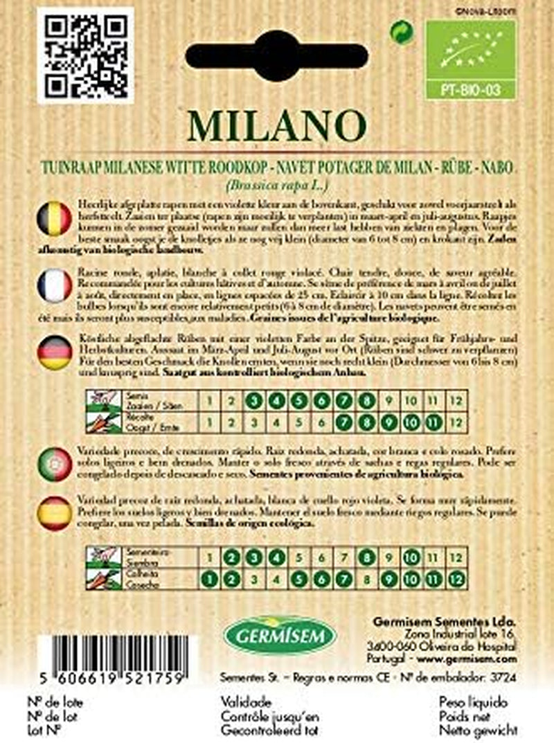 Rübe MILANO