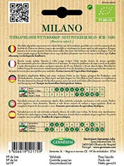 Rübe MILANO