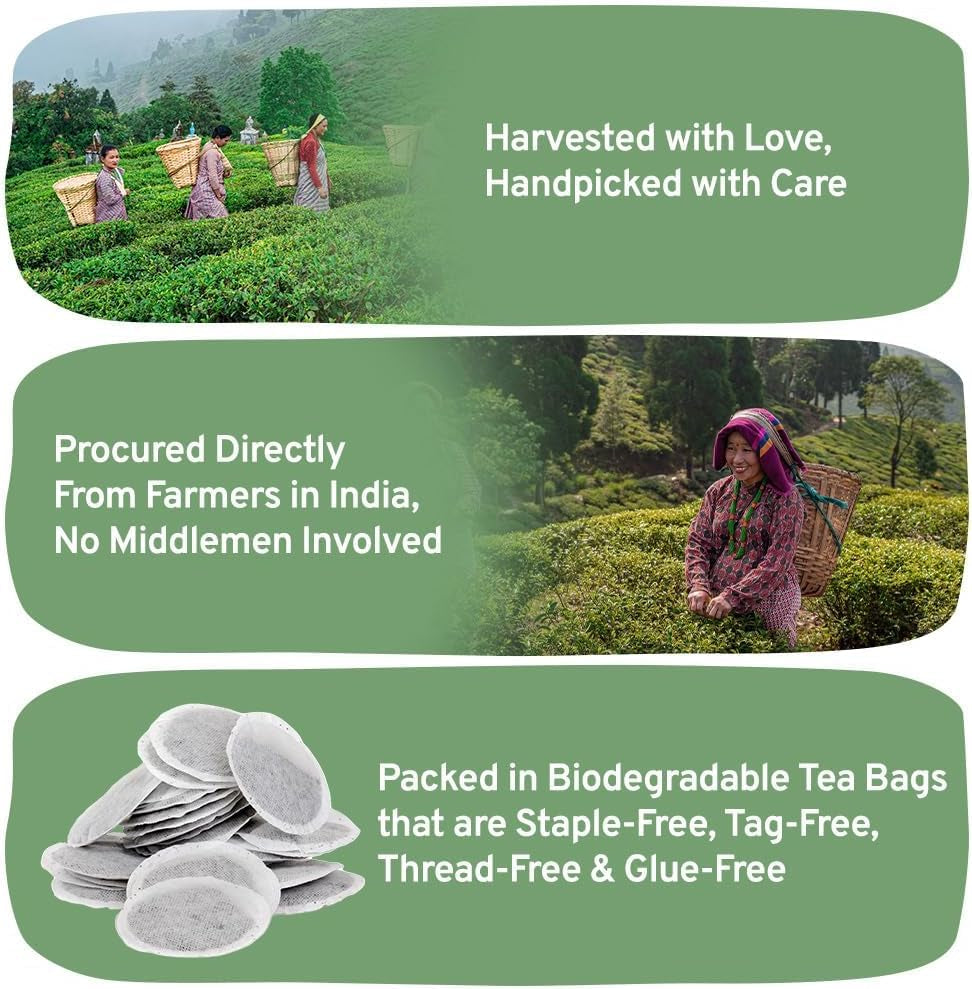 HANDPICK, pliculețe de ceai verde - 25 bucăți | 100% frunze de ceai verde pur din Himalaya, India | Plicuțe de ceai verde ecologice, preparare la cald sau rece