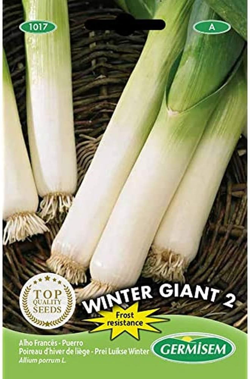 Lauch WINTER GIANT, Mehrfarbig, EC1017 & Spinat WINTER GIANT, Mehrfarbig, EC7020