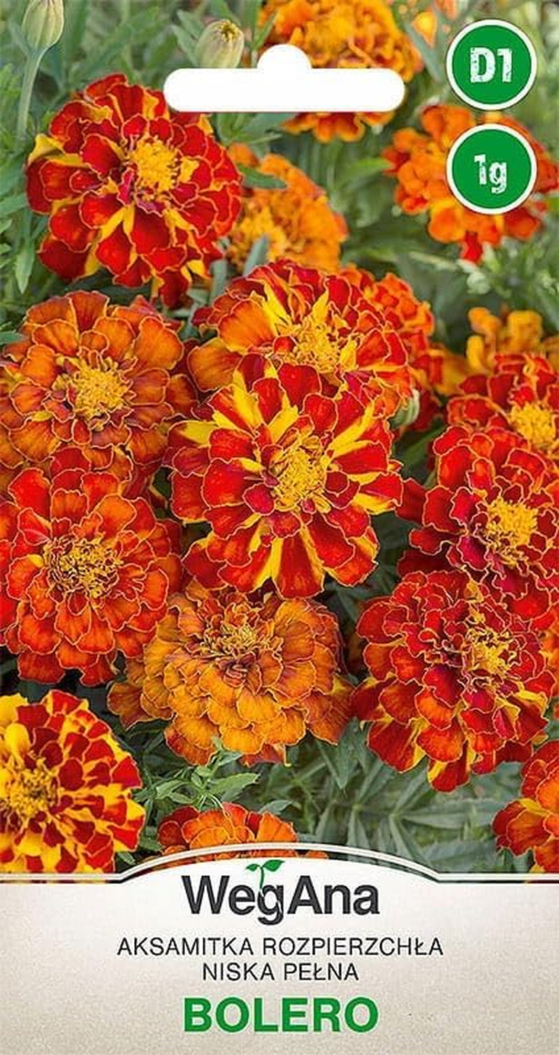 Cosmos Sensation Mix 1g nasion, Cosmos Mix Kwiaty letnie, Rośliny ogrodowe Rośliny balkonowe, Nasiona kwiatów