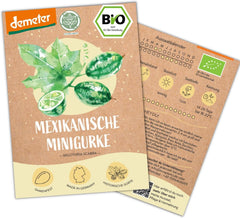 Organiczne nasiona ogórka meksykańskiego Mini, 10 nasion ogórka przekąskowego, wysoka zdolność kiełkowania, certyfikat Demeter i zapylanie otwarte | LOVEPLANTS Balkon Ogród Podwyższone Nasiona Warzyw - Schedyczne Odmiany Warzyw