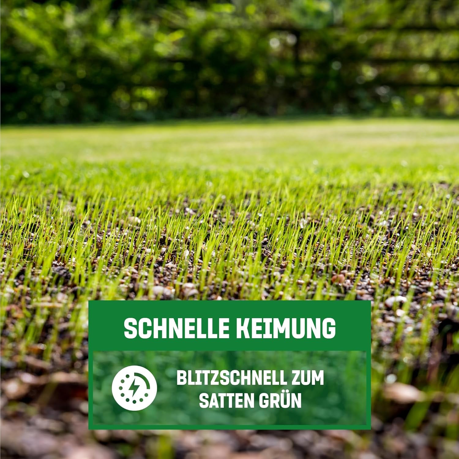 Gardengloss Rasensamen Schnellkeimend Herbst 0,5Kg - Made in Germany - 25M2 Fläche Rasen - Grassamen Turbo Nachsaat Und Neuanlage - Rasennachsaat