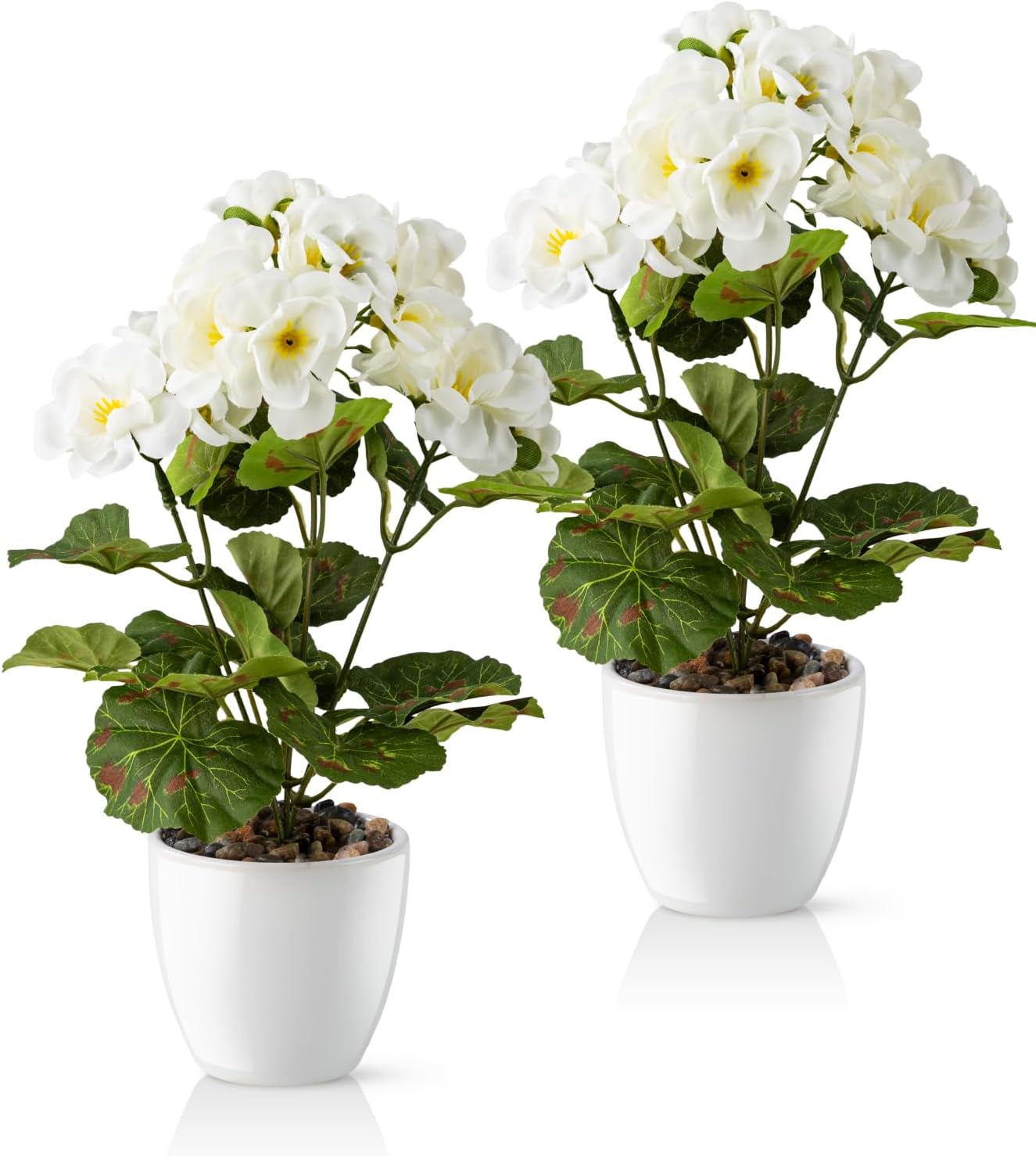 PASCH® Begonie Im Hochglanz-Keramiktopf | Kunstblumen Im Topf | Künstliche Blumen Wie Echt | Fake Blumen | Kunstblumen Wie Echt (Japanische Begonie, 3 Stück, 16Cm)