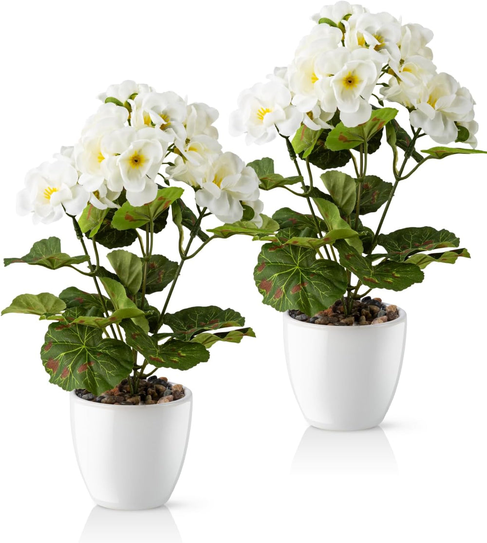 PASCH® Begonie Im Hochglanz-Keramiktopf | Kunstblumen Im Topf | Künstliche Blumen Wie Echt | Fake Blumen | Kunstblumen Wie Echt (Japanische Begonie, 3 Stück, 16Cm)