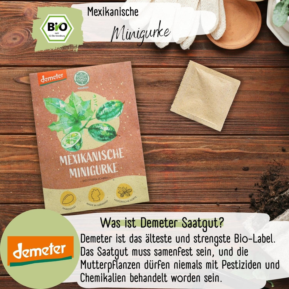 Organiczne nasiona ogórka meksykańskiego Mini, 10 nasion ogórka przekąskowego, wysoka zdolność kiełkowania, certyfikat Demeter i zapylanie otwarte | LOVEPLANTS Balkon Ogród Podwyższone Nasiona Warzyw - Schedyczne Odmiany Warzyw