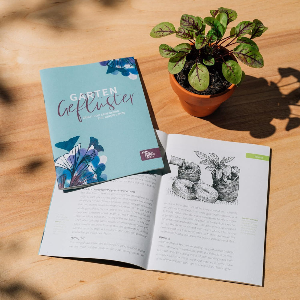 Magic Garden Seeds - Selbstgemachter Kräutertee - Samen Geschenk Set Mit 6 Wohltuenden Kräutersorten - Anzuchtset Mit Pfefferminze, Zitronenmelisse, Salbei, Bergminze, Eisenkraut Und Gewürzfenchel