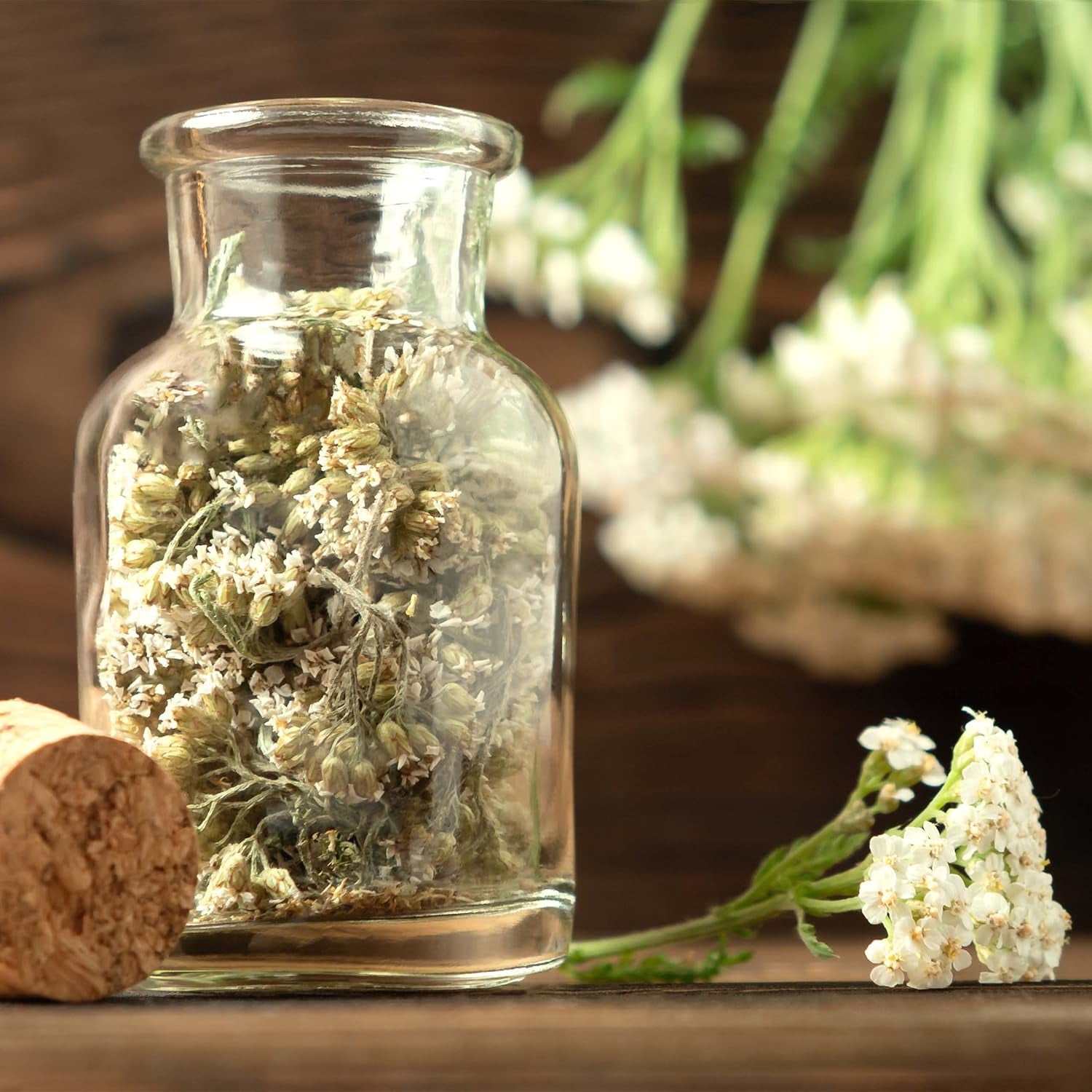 Zestaw nasion herbaty: 8 odmian nasion na balkon i do ogrodu - mięta, rumianek, anyż, pokrzywa, malwa - nasiona roślin - herbata - pudełko na herbatę - Rośliny OwnGrown