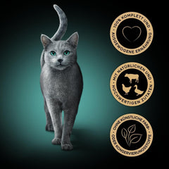 Sheba CATCARE Pouch Wet Fresh & FINE (Meat) Chunks IN Gravy Adult 50G Multipack Standard