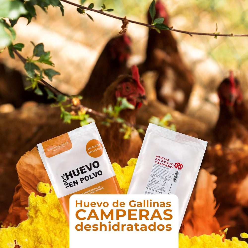 Eipulver aus Freilandeiern (1kg) | Pasteurisiertes Vollei Pulver | Ohne Zusatztoffe | Bez glutenu i bez laktozy | Vakuumverpackung im Zip-Beutel