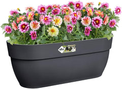 elho Vibia Campana Easy Hanger L 46 - Ghiveci pentru balcon și exterior - Ø 46,0 x Î 26,5 cm - Negru/Antracit