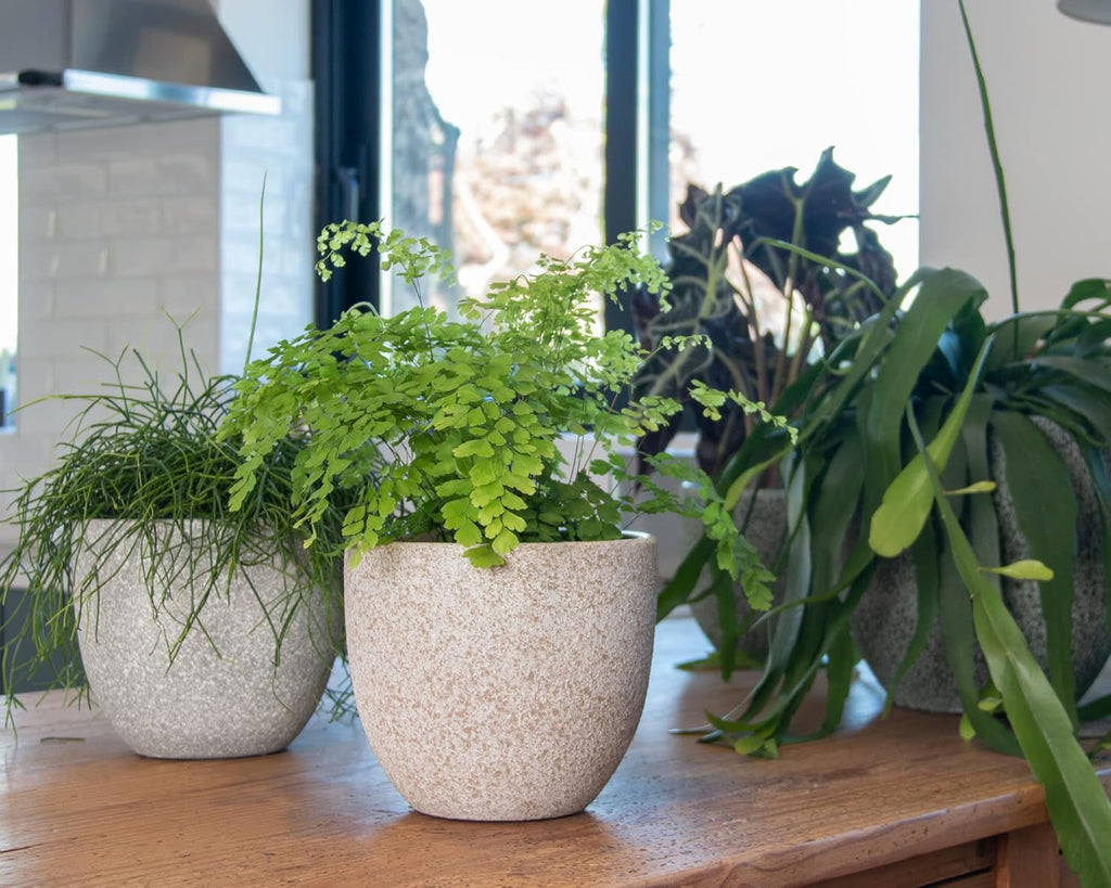 Artevasi Hestia Ghiveci, Ghiveci de flori, Ghiveci decorativ, Textură complexă, Ceramică lucrată manual, Culoare teracotă, 17 cm