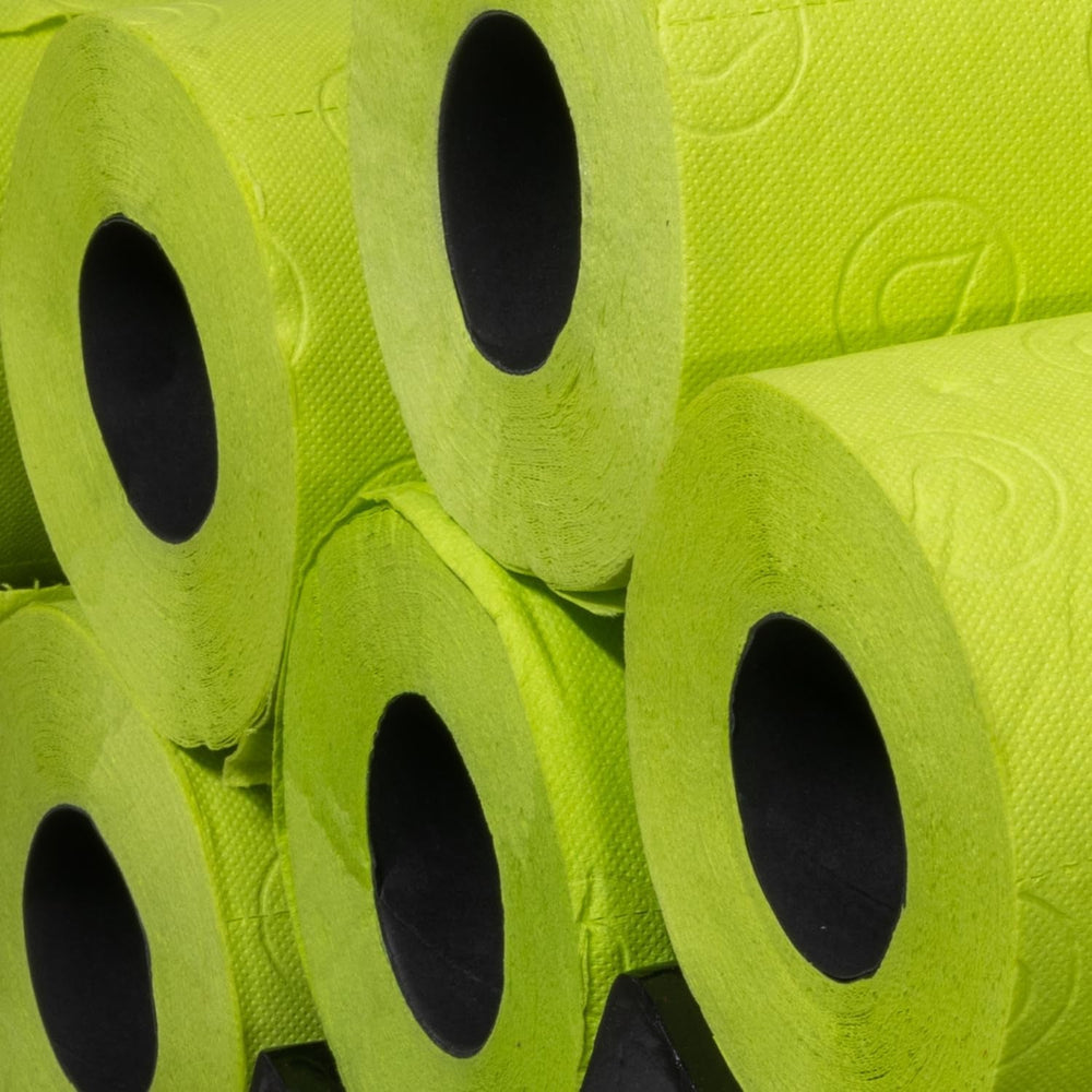 Hârtie igienică RENOVA GREEN 6 role