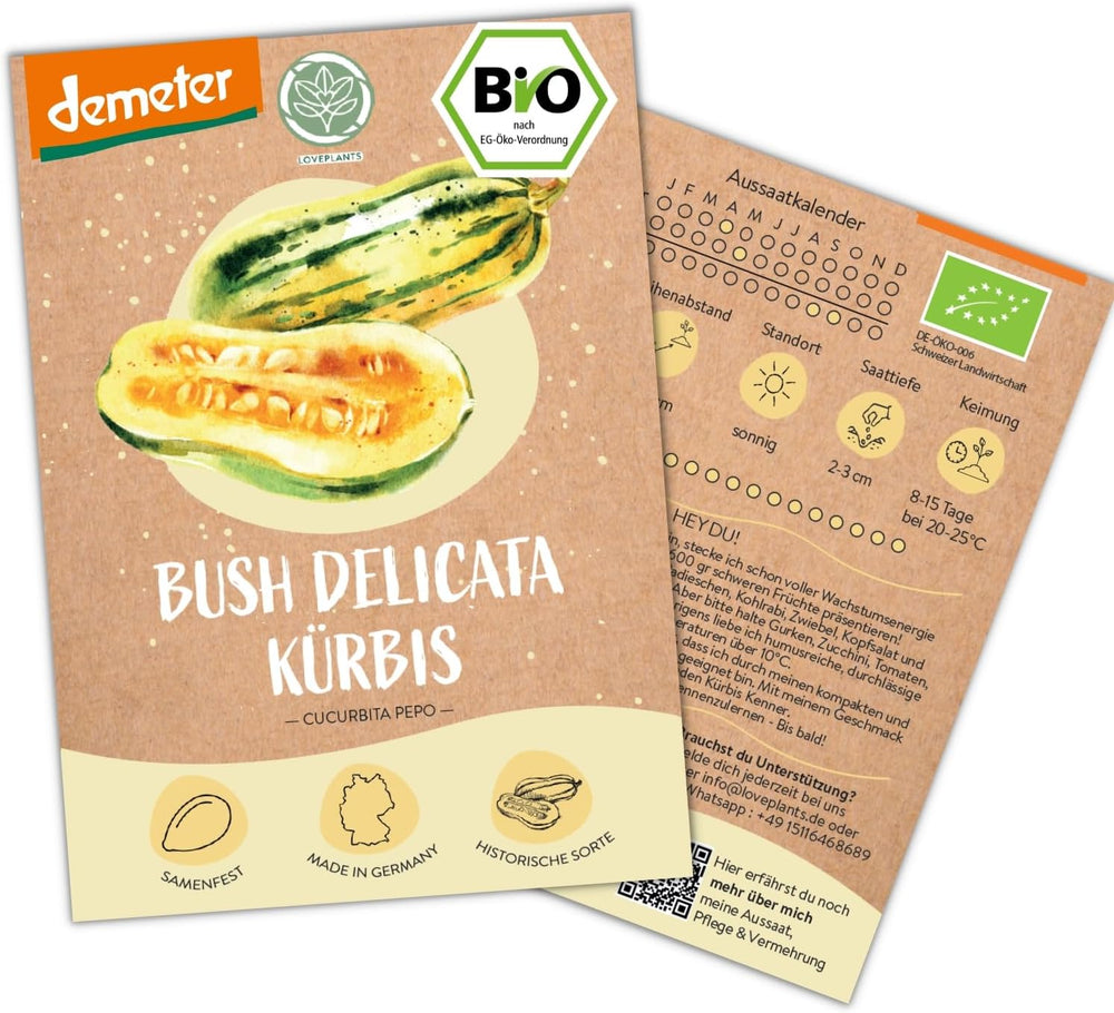 Organiczne nasiona ogórka meksykańskiego Mini, 10 nasion ogórka przekąskowego, wysoka zdolność kiełkowania, certyfikat Demeter i zapylanie otwarte | LOVEPLANTS Balkon Ogród Podwyższone Nasiona Warzyw - Schedyczne Odmiany Warzyw