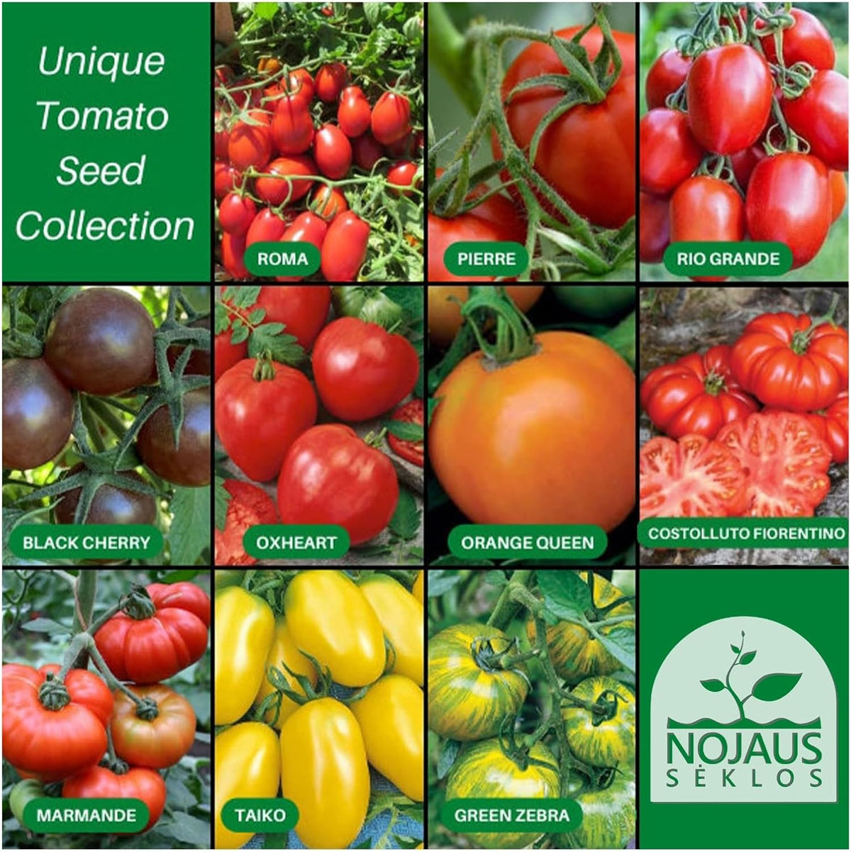 Nojus - Tomaten Samen Set – 10 Sorten – Verschiedene Tomatensamen Starter Kit - 10 Packen – Garten Samen Pflanzen Saatgut – Samen Gemüse Box 10 Sorten – Saatgut Box – Saat/Seeds