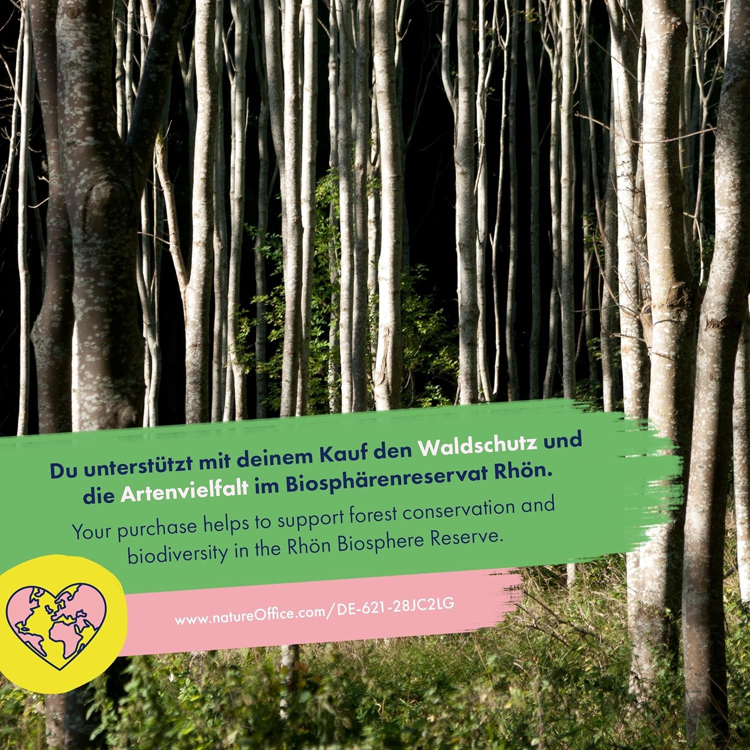 Kwitnąca tęcza - 6 bezpłatnych mieszanek kwiatów zapylanych - Spektakularne i kolorowe - Zestaw nasion dla początkujących, jako mały prezent lub do użytku osobistego