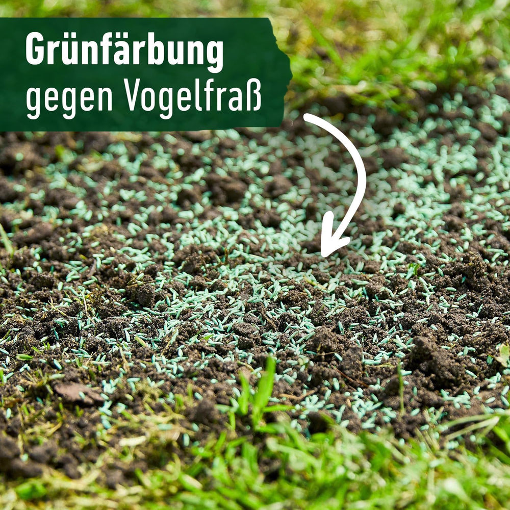 COMPO Schnell Keimende Universal Rasensamen 5Kg Für 250 M², Für Spiel- Und Sportrasen, Ideal Bei Hitze Und Trockenheit, Grün