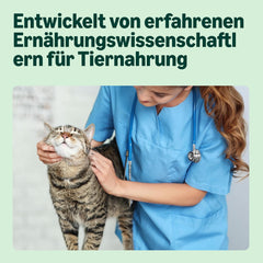 hrană umedă pentru pisici de la Amazon, fără cereale, pentru pisici adulte, selecție de carne în bulion, 4,76 kg, 56 de pachete a câte 85 g (anterior Lifelong)