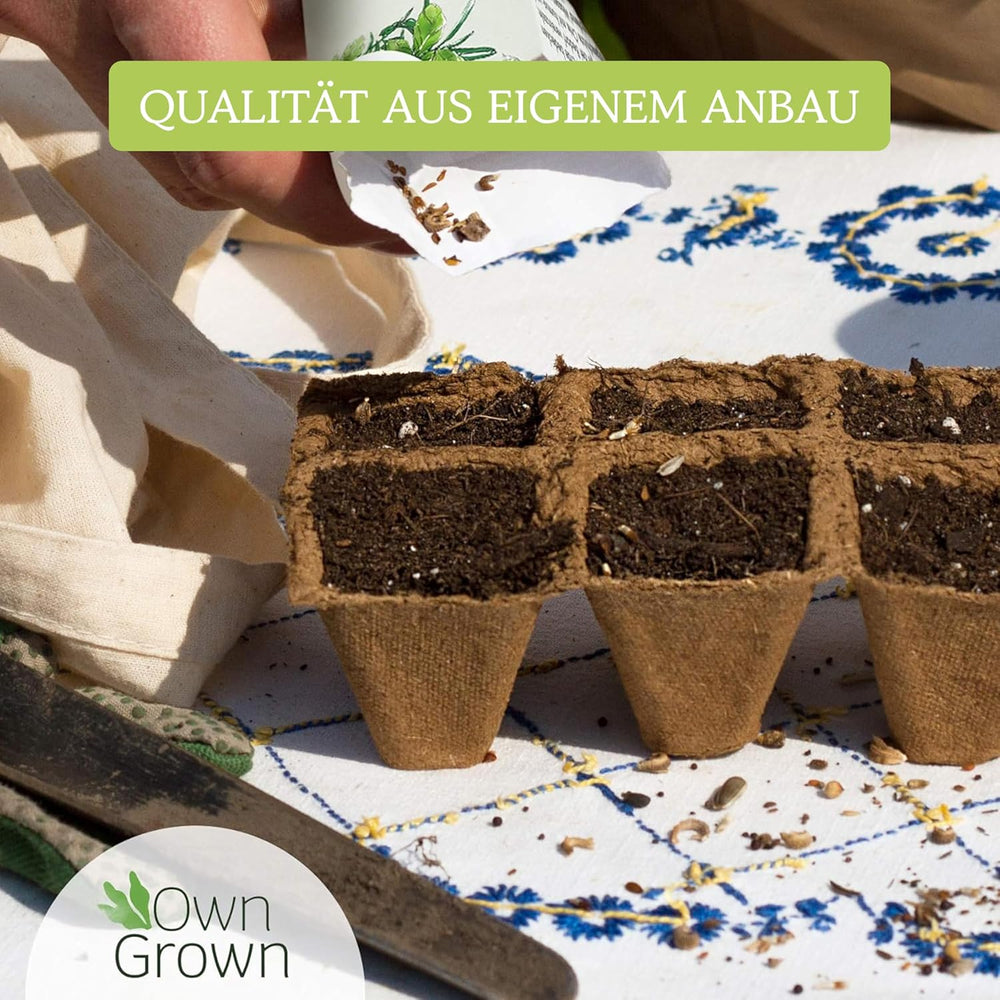 Zestaw nasion warzyw OwnGrown - 12 Pflanzensemen Sorten für Hochbeet und Garten - Praktische Box mit Gemüsesamen für den Anbau Frischer Ernte zu Hause - Ideal für Gartenliebhaber