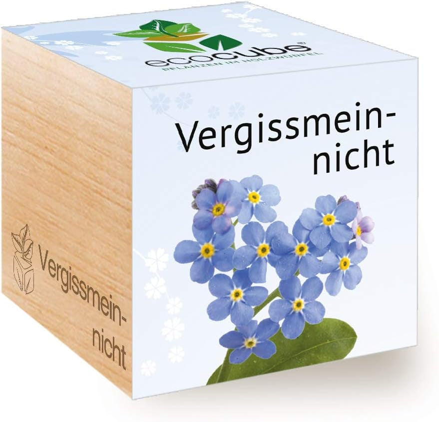 Feel Green Ecocube Weihnachtsbaum/Xmas Tree, Nachhaltige Geschenkidee (100% Eco Friendly), Grow Your Own/Anzuchtset, Pflanzen Im Holzwürfel, Made in Austria