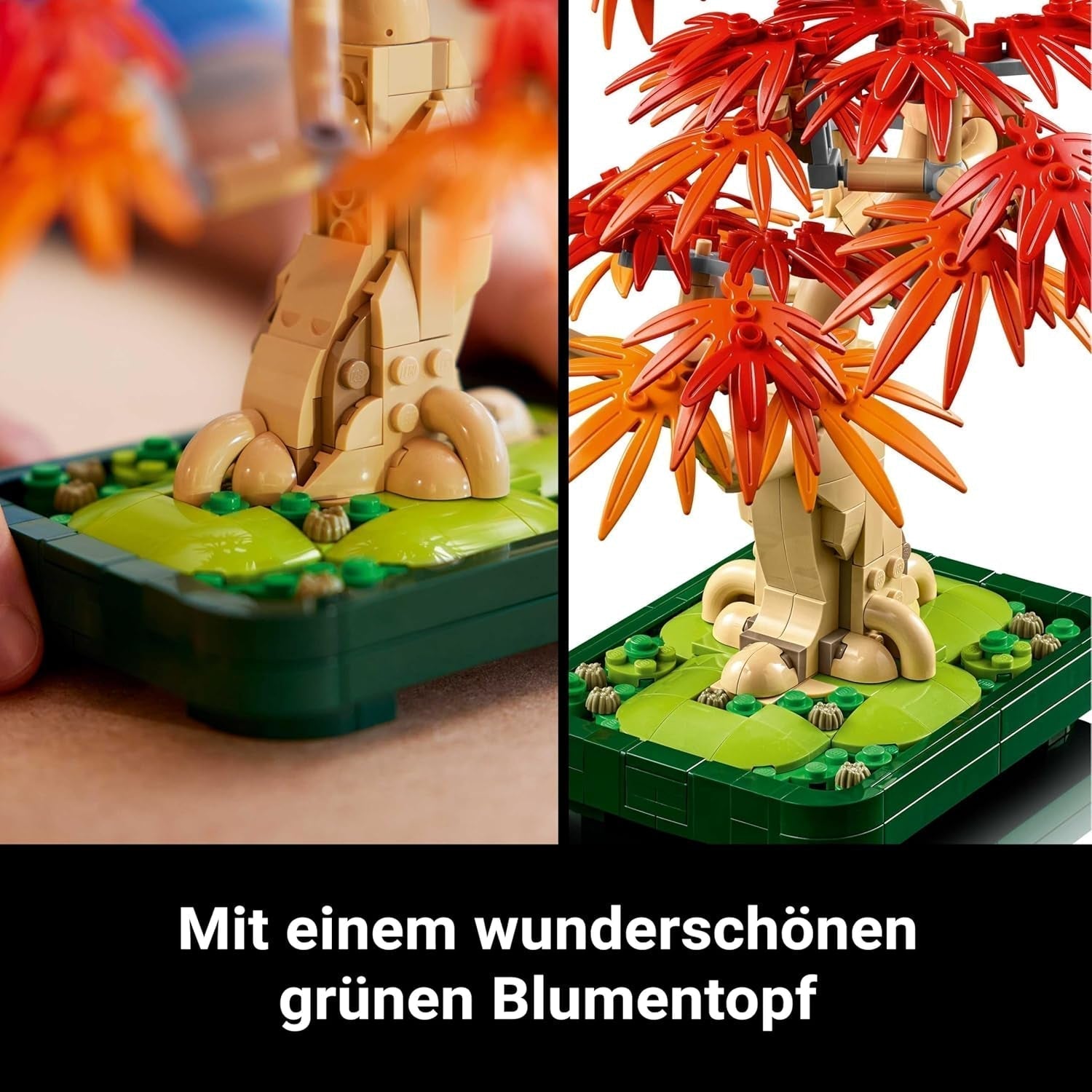 LEGO Botanicals Arțar roșu japonez - Arbore Bonsai - Kit plantă artificială cu frunze roșii și portocalii, plus bol - Decor pentru casă - Idee cadou pentru adulți - 10348 Seturi de constructie Besuche den LEGO-Store