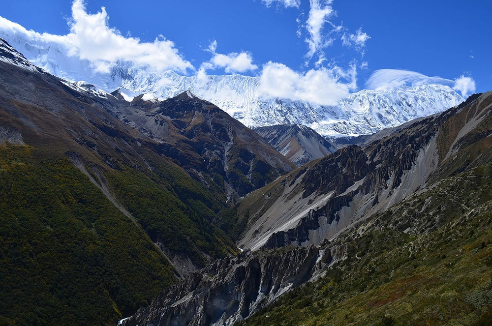 Rohkaffee Nepal Mt. Everest Cofffee (1000g)