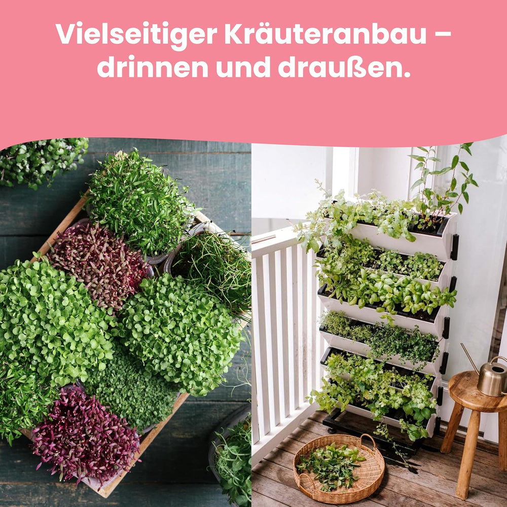 LERAVA Kräutersamen Set – 12 Sorten: Basilikum Samen, Parsilie Samen, Koriander, Oregano & mehr – Saatgut für frische Kräuter im Garten oder Topf, Premium Samen für Küche & Balkon - Zestaw Samen, nasiona